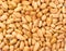Pine nuts texture