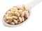 Pine nuts in the wooden scoop. White background.