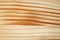 Pine plank with wood grain structure pattern macro view