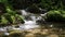 Pine River Flowing Through Moss Covered Rock