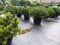 Pine seedlings grow in plastic containers. In the garden shopping center