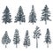 Pine and spruce trees. Vector sketch illustration. Forest and nature hand drawn design elements set