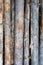 Pine stick texture