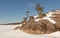 Pine on stony snow coast of winter lake. A natural winter background