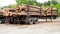 Pine timber stacked on trailers at lumber yard