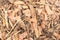 Pine tree bark chip background texture