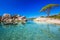 Pine tree and beautiful lagoon on Palombaggia beach, Corsica, France