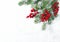 Pine tree branches red berries decoration