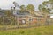 Pine tree collapses on house roof