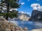 Pine Tree at the Edge of Hetch Hetchy Lake