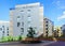 Pine tree at European architectural complex of apartment residential building