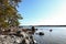 Pine tree forest areal Sweden cliff Baltic sea view in Sweden.