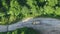 pine tree forest with a curvy country road on a fresh summer morning with mist and fog