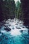 Pine tree forest river flows through the rocks. Beautiful powerful rapid steam of the mountain river flows between pebbles rocks.