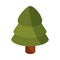 Pine tree forest vegetation flat icon with shadow