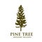 Pine Tree green silhouette logo