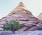 Pine tree growing beneath rock peak