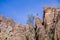 Pine tree growing on rock boulders, Pinnacles National Park, California