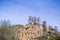 Pine tree growing on rock boulders, Pinnacles National Park, California