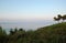 Pine tree on the hill and a panoramic view of the sea at sunset on the Greek coast