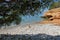 Pine tree leaning towards the beautiful Ververonda beach