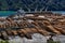 Pine tree logs being loaded onto a ship for export at Shakespeare Bay, Waimahara Wharf, Port Marlborough, Marlborough Sounds, New