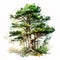 Pine Tree Paradise: A Watercolor Painting of a Serene Pine Tree Forest AI Generated