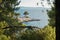 Pine tree on a rock over crystal clear turquoise water, Cape Amarandos at Skopelos island