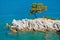 Pine tree on a rock over crystal clear turquoise water, Cape Amarandos at Skopelos island