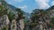 Pine tree on the rocks mountains landscape