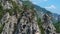 Pine tree on the rocks mountains landscape