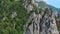 Pine tree on the rocks mountains landscape