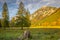 Pine trees in Alps at autumn sunrise, Karwendel mountains in Innsbruck, Tyrol