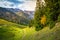 Pine trees in Alps at autumn sunrise, Karwendel mountains in Innsbruck, Tyrol