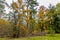 Pine trees, bare trees, trees with yellow foliage and shrubbery, a dry fallen tree on a ground with green grass, cloudy autumn day