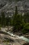 Pine Trees and Boulders Line The Edges Of Tuolumne River