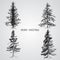 Pine trees. Christmas trees realistic hand drawn vector set, isolated over white