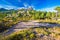 Pine trees in Col de Bavella mountains, Corsica island, France,