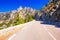 Pine trees in Col de Bavella mountains, Corsica island, France,