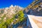 Pine trees in Col de Bavella mountains, Corsica island, France,