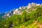 Pine trees in Col de Bavella mountains near Zonza town, Corsica