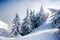 Pine trees covered in snow