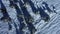 Pine trees covered with snow seen from above.