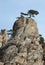 Pine trees at Demirji rocks, Ghost valley