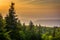 Pine trees and distant mountains at sunrise, seen from Bear Rock