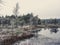 Pine Trees in Field of Kemeri moor in Latvia with a Pond in a Foreground - vintage look edit