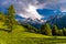 Pine trees in fields in Alp mountains, Martigny-Combe, Martigny, Wallis, Valais, Switzerland