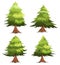 Pine Trees And Firs Set
