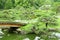 Pine trees, footpath, bridge and Japanese pavilion building