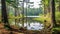 Pine Trees Frame Serene Wetland Of Lake